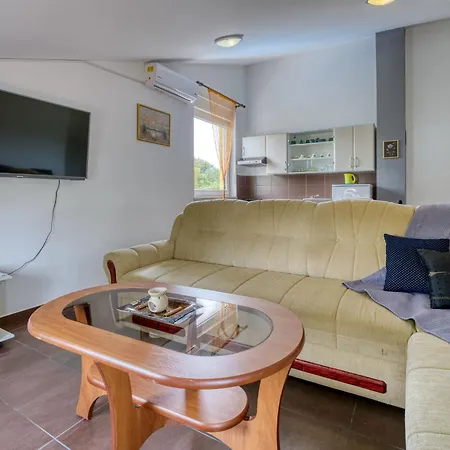 Apartament Radmila-3 By Interhome *